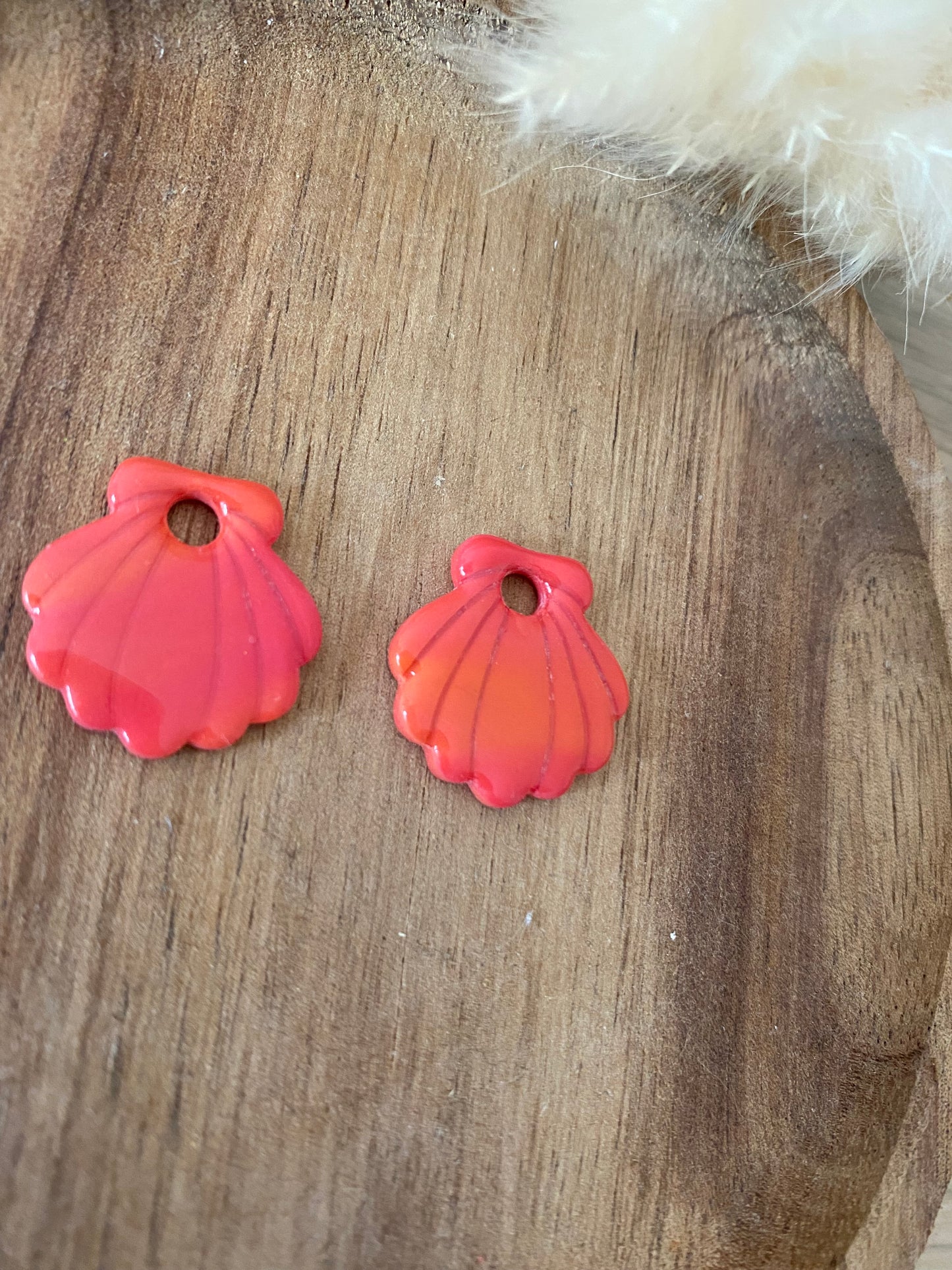 Coquillages interchangeables