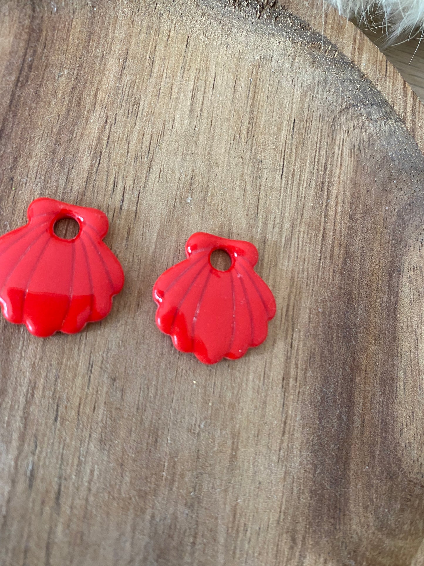 Coquillages interchangeables