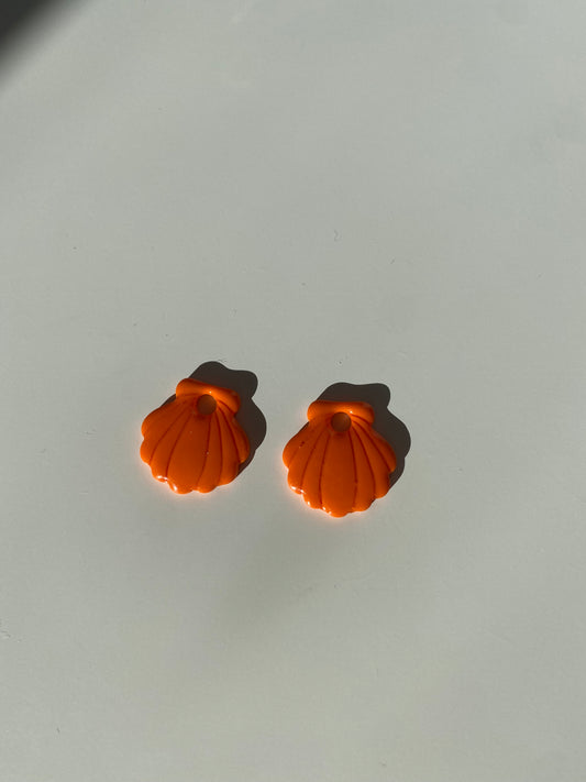 Coquillage interchangeables