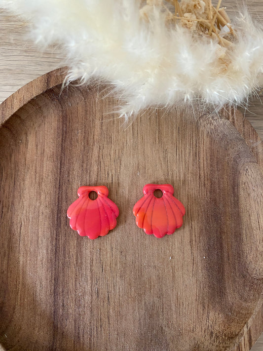 Coquillages interchangeables